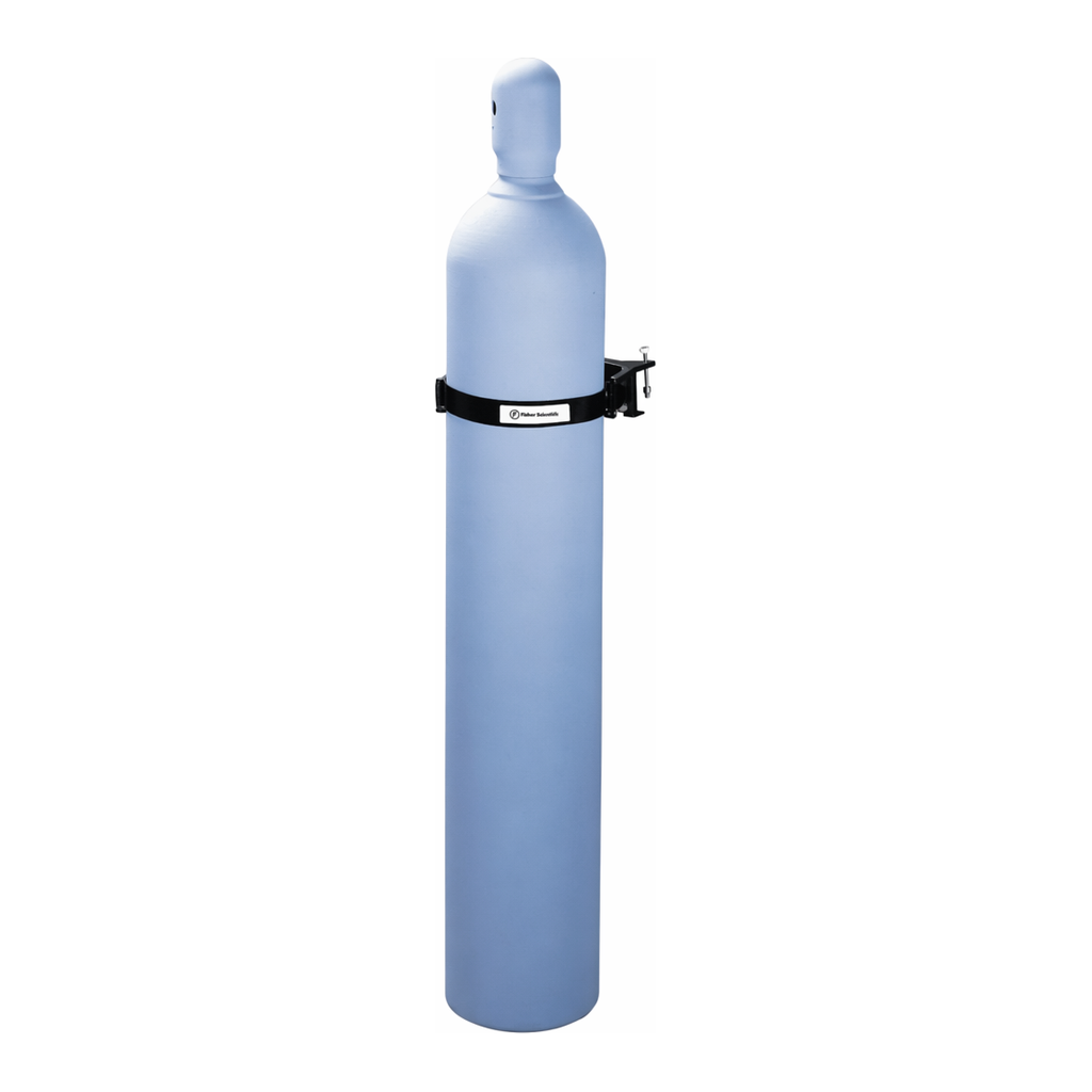 Thermo Fisher Scientific Gas Cylinder Support
