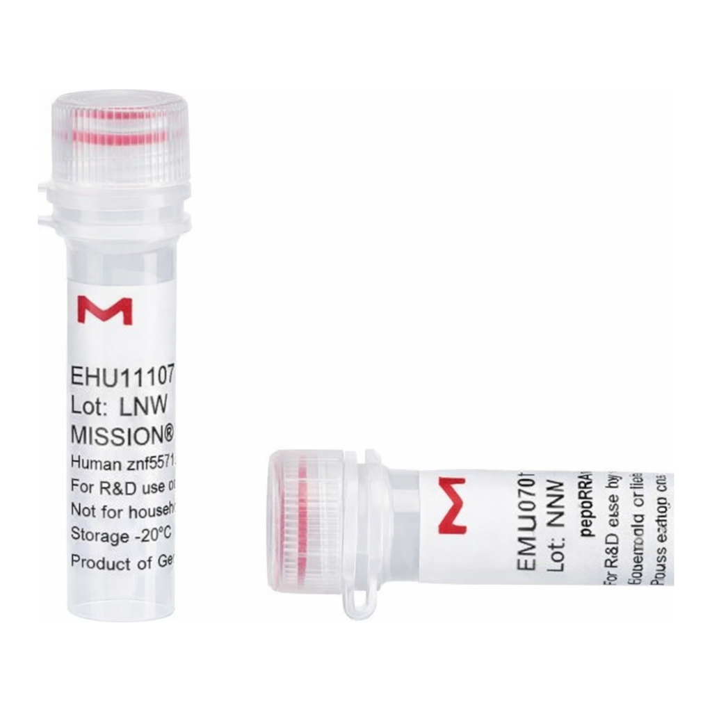 Merck MISSION(R) esiRNA