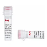 Merck MISSION(R) esiRNA