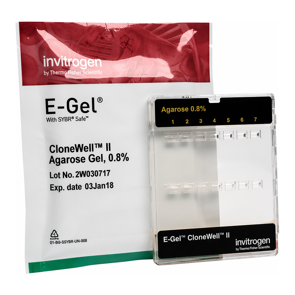 Thermo Fisher Scientific E-Gel CloneWell II Agarose Gels with SYBR Safe, 0.8%