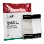 Thermo Fisher Scientific E-Gel CloneWell II Agarose Gels with SYBR Safe, 0.8%