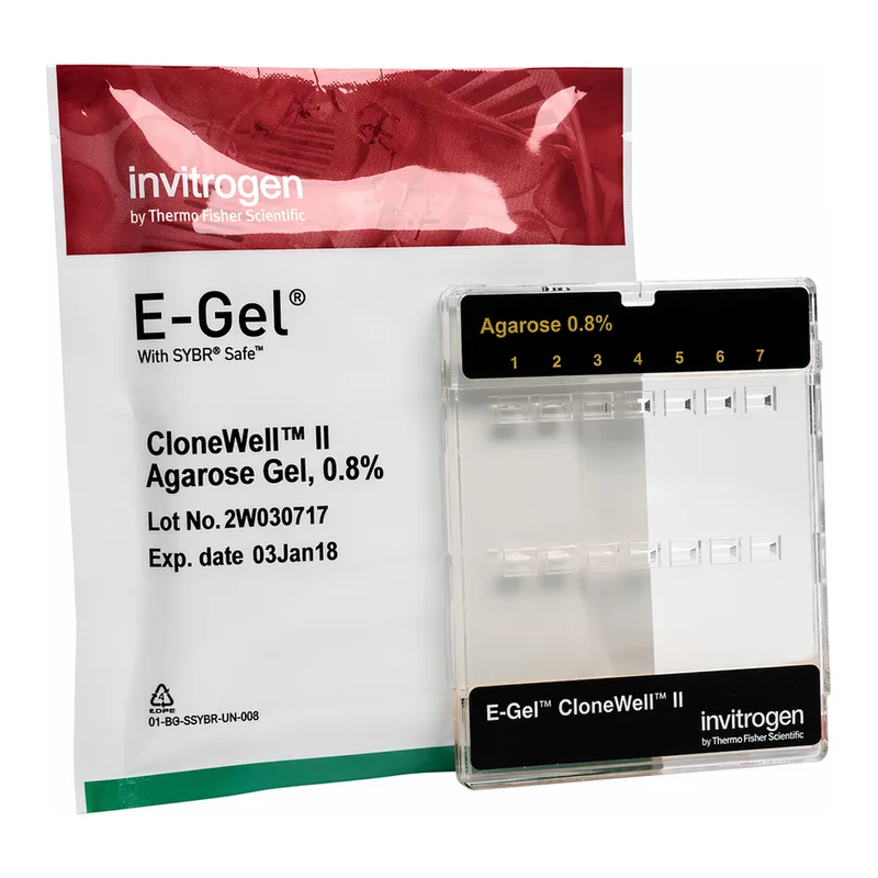 Thermo Fisher Scientific E-Gel CloneWell II Agarose Gels with SYBR Safe, 0.8%