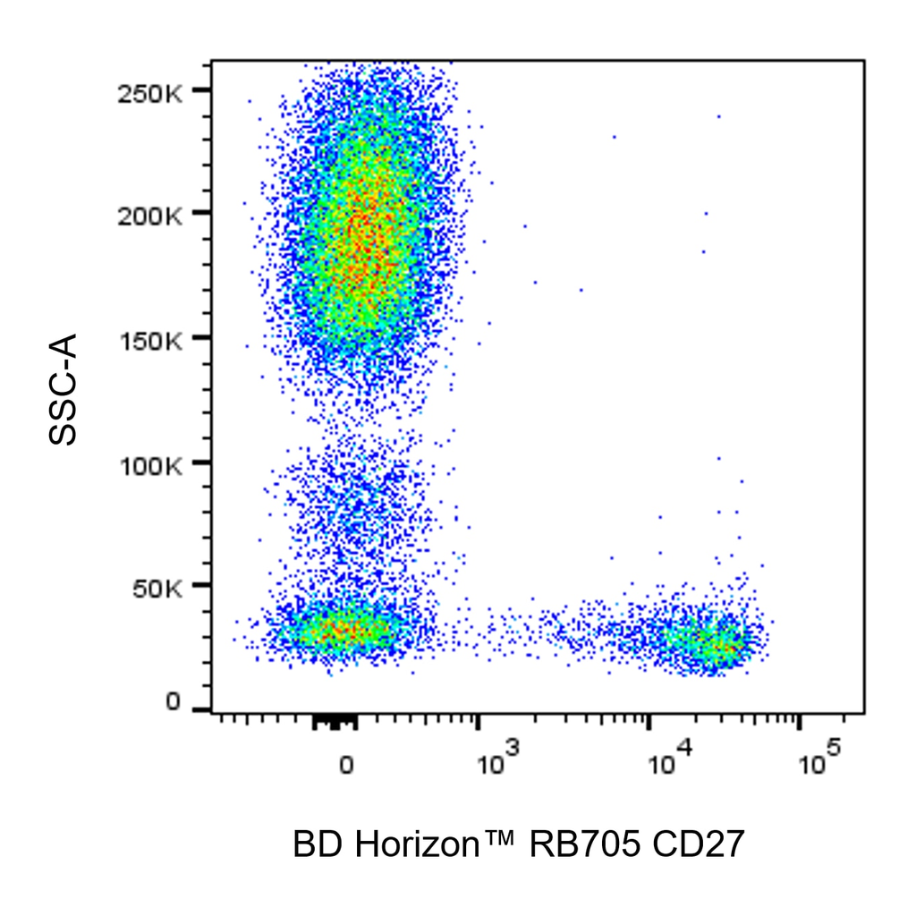 BD RB705 Mouse Anti-Human CD27