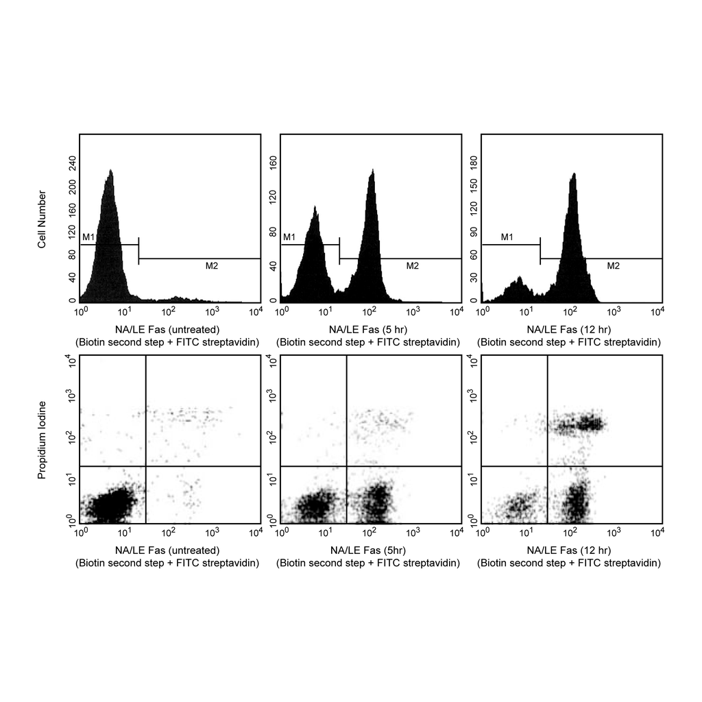 BD Propidium Iodide Staining Solution