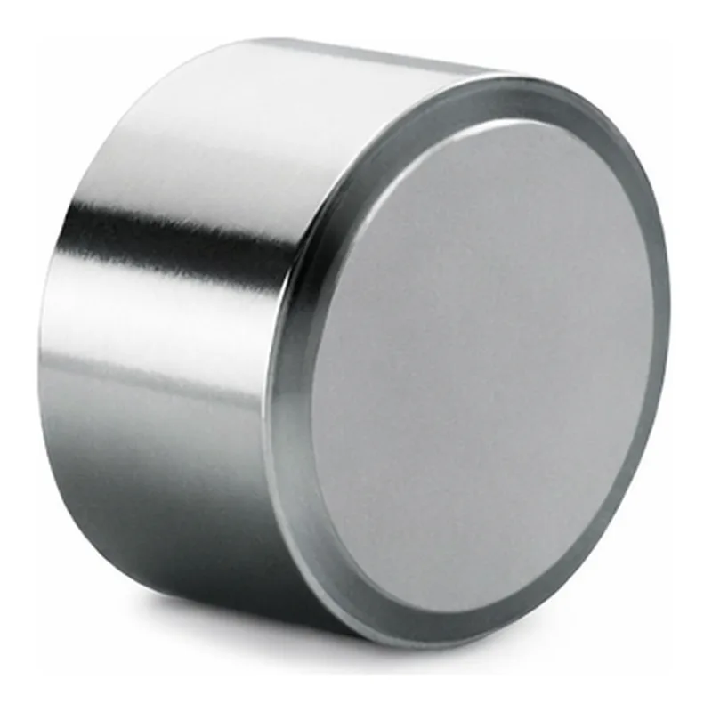 Waters XBridge BEH C18 Prep Guard Cartridge, 130Å, 10 µm, 19 mm X 10 mm, 1/pk