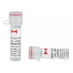 Merck MISSION(R) esiRNA