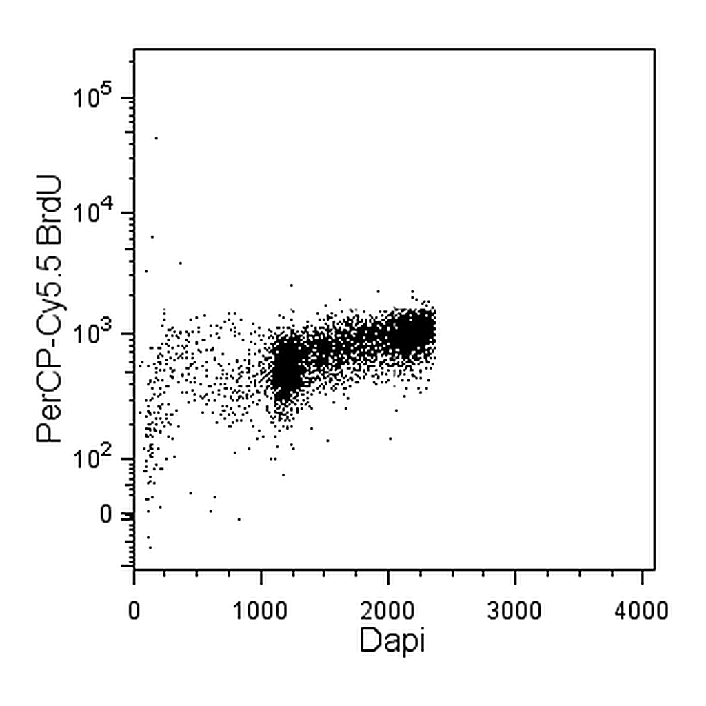 BD Permeabilization Buffer Plus