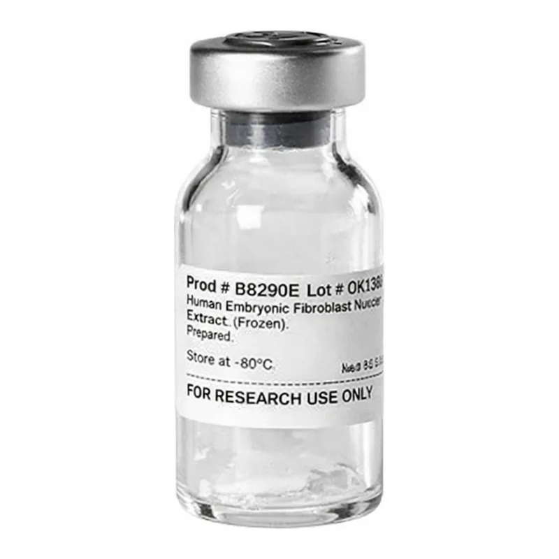 Thermo Fisher Scientific Mouse Embryonic Fibroblast Isolation Enzyme 1 (with papain) for Pierce Primary Cell Isolation Kits
