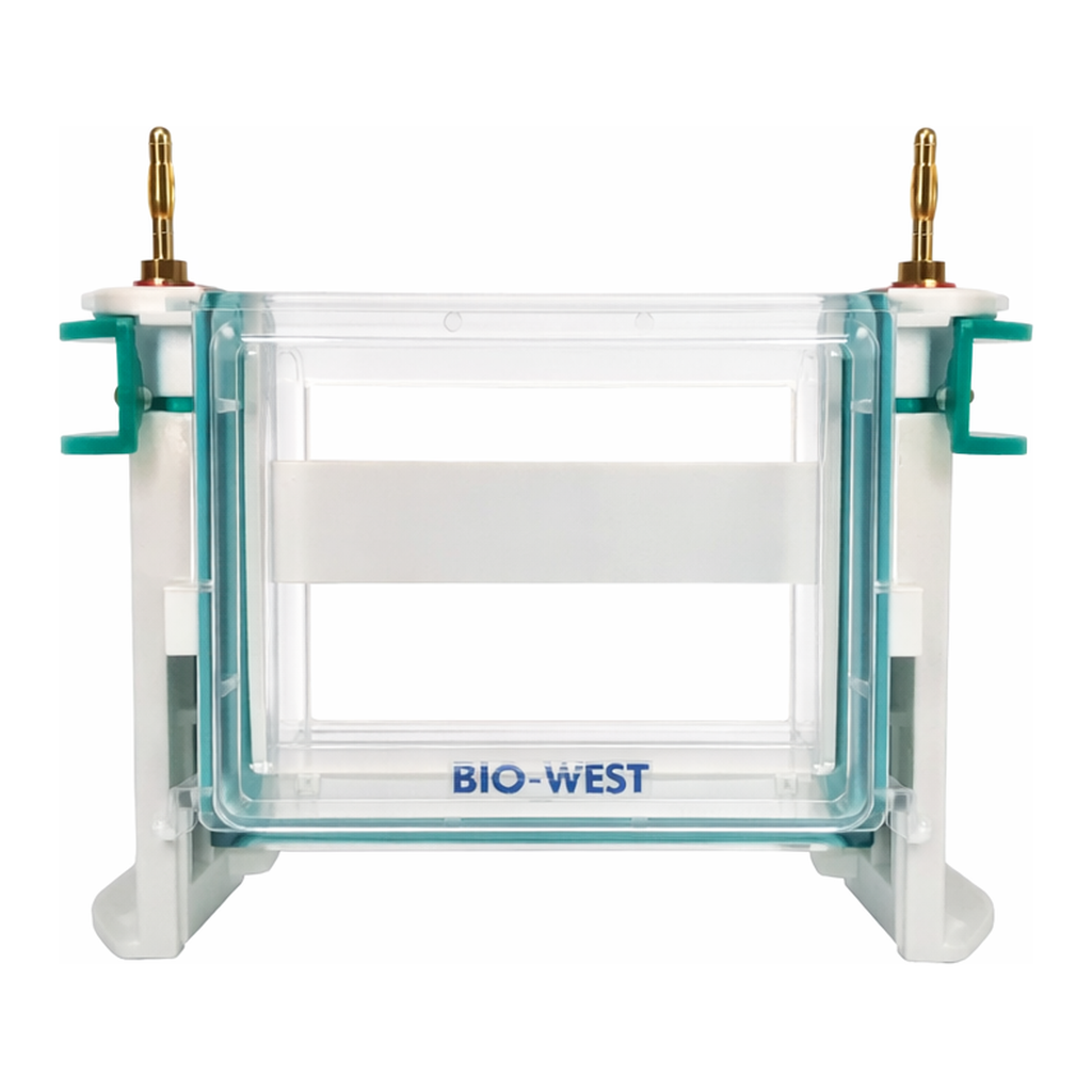 Servicebio Electrophoresis System Tank With Platinum Wire