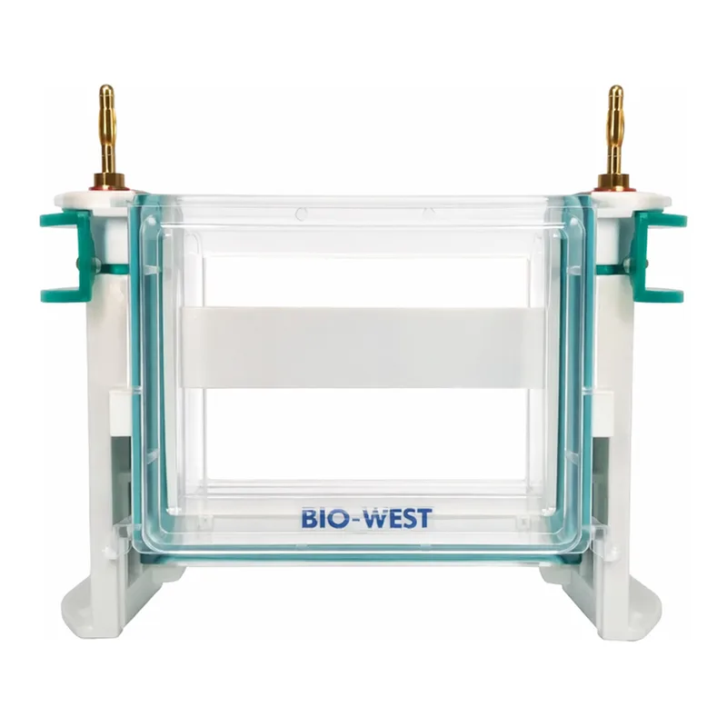 Servicebio Electrophoresis System Tank With Platinum Wire