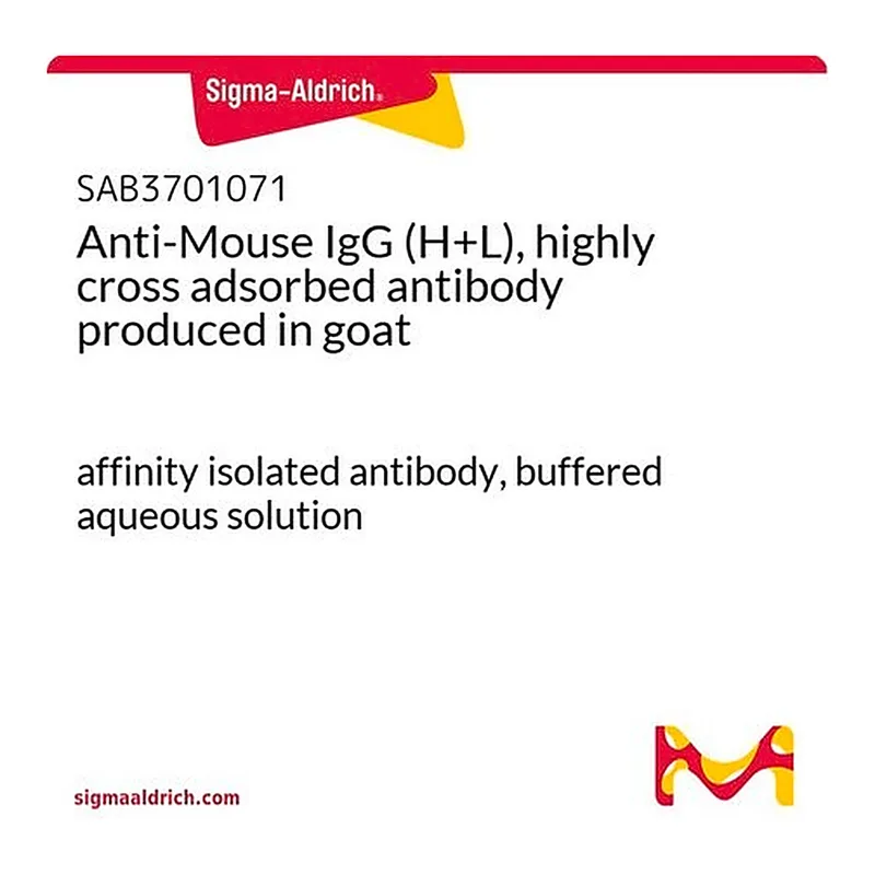 Merck Anti-Mouse IgG (H+L), highly cross adsorbed antibody produced in goat