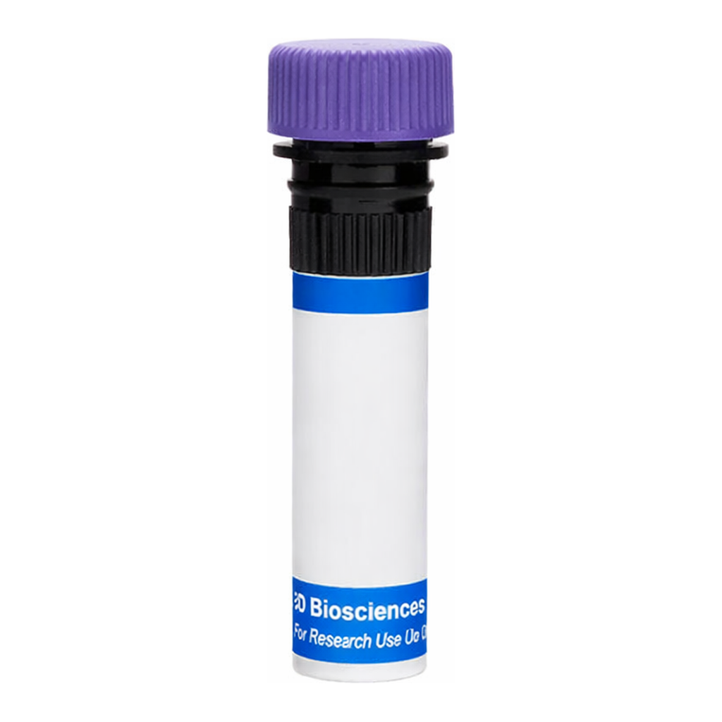 BD RB744 Rat Anti-Mouse Vβ 11 T-Cell Receptor