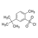 Merck 5-tert-Butyl-2-methyl-benzenesulfonyl chloride