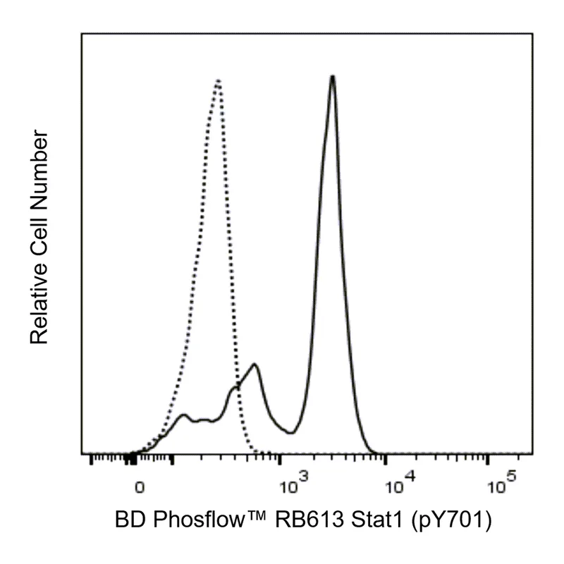 BD RB613 Mouse Anti-Stat1 (pY701)