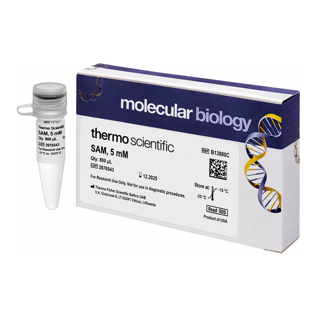 Thermo Fisher Scientific S-Adenosyl-L- Methionine (SAM) (5 mM), 800 μL
