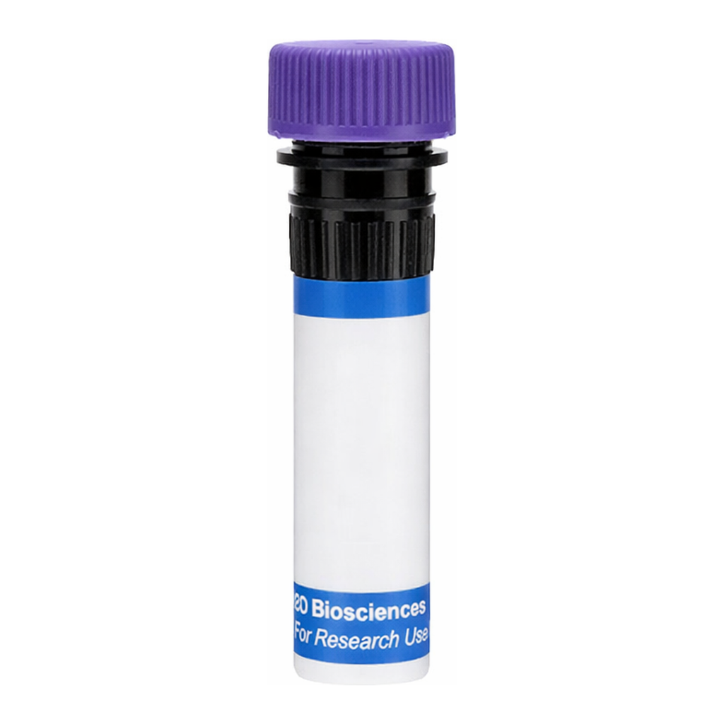 BD RB744 Rat Anti-Mouse IgG2a, b