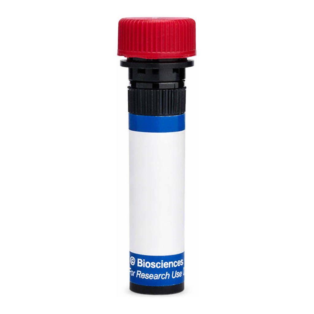 BD RB670 Hamster Anti-Mouse TCR Vβ3