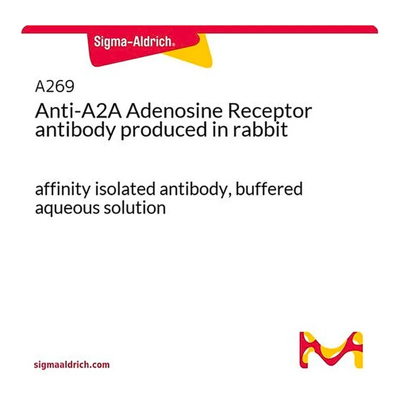 Merck Anti-A2A Adenosine Receptor antibody produced in rabbit