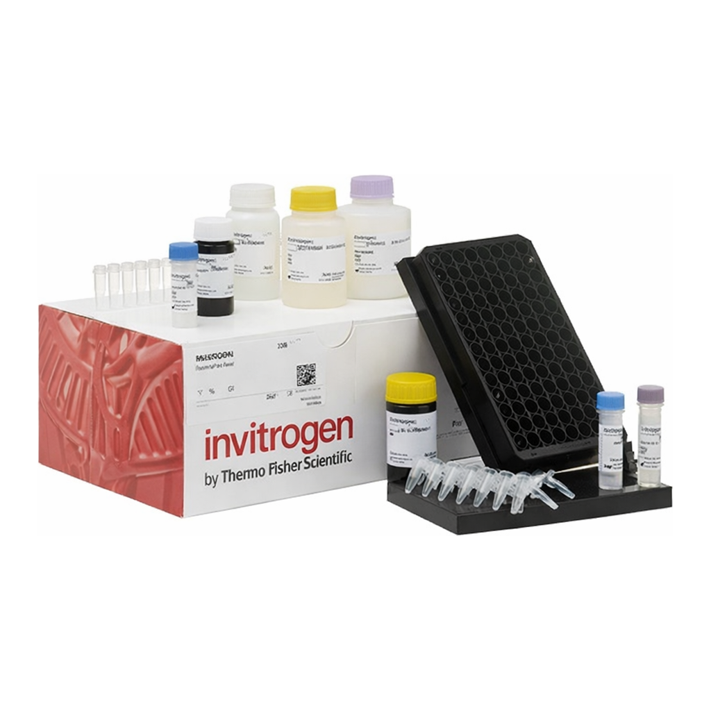 Thermo Fisher Scientific ProcartaPlex Human Neurodegeneration Panel 1, 9plex