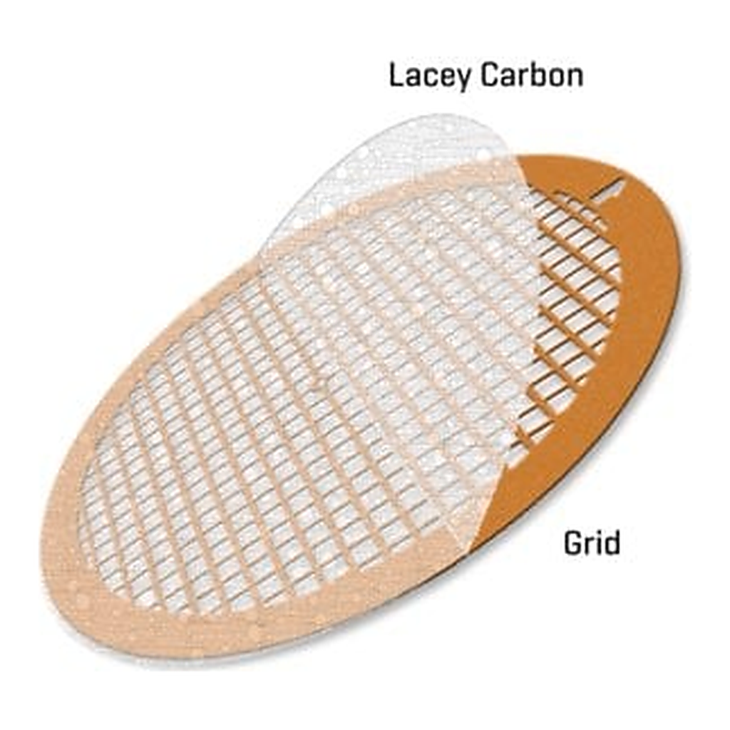 Merck LACEY CARBON SUPPORTED GOLD GRIDS, 300 &
