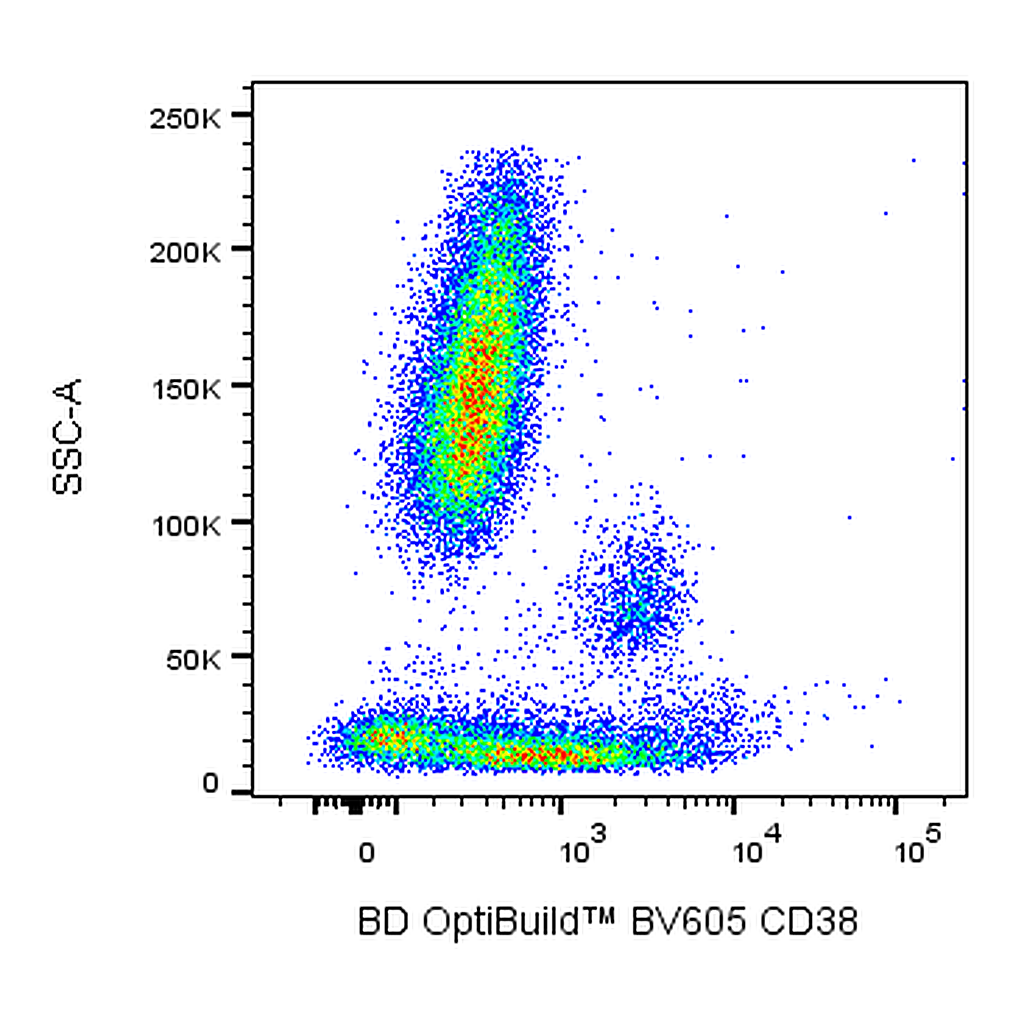 BD BV605 Mouse Anti-Human CD38