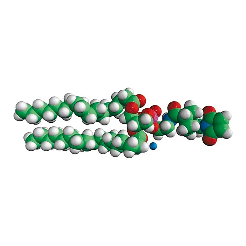 Merck 18:1 PE MCC
