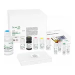 Merck HybriScan(TM)D Lactobac
