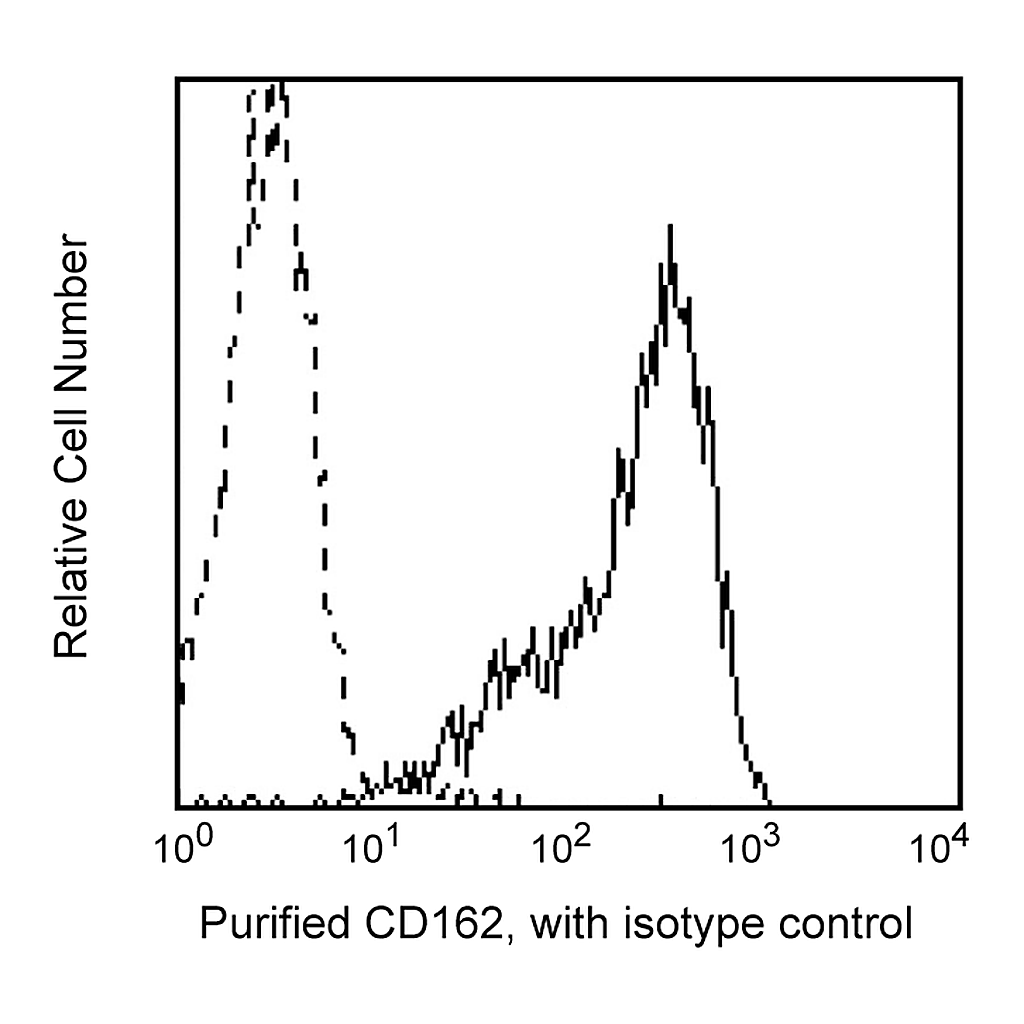 BD Purified Mouse Anti-Human CD162