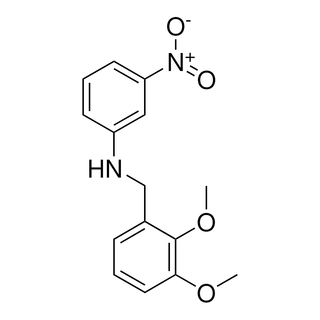 Merck 2,3-DIMETHOXY-N-(3-NITROPHENYL)-