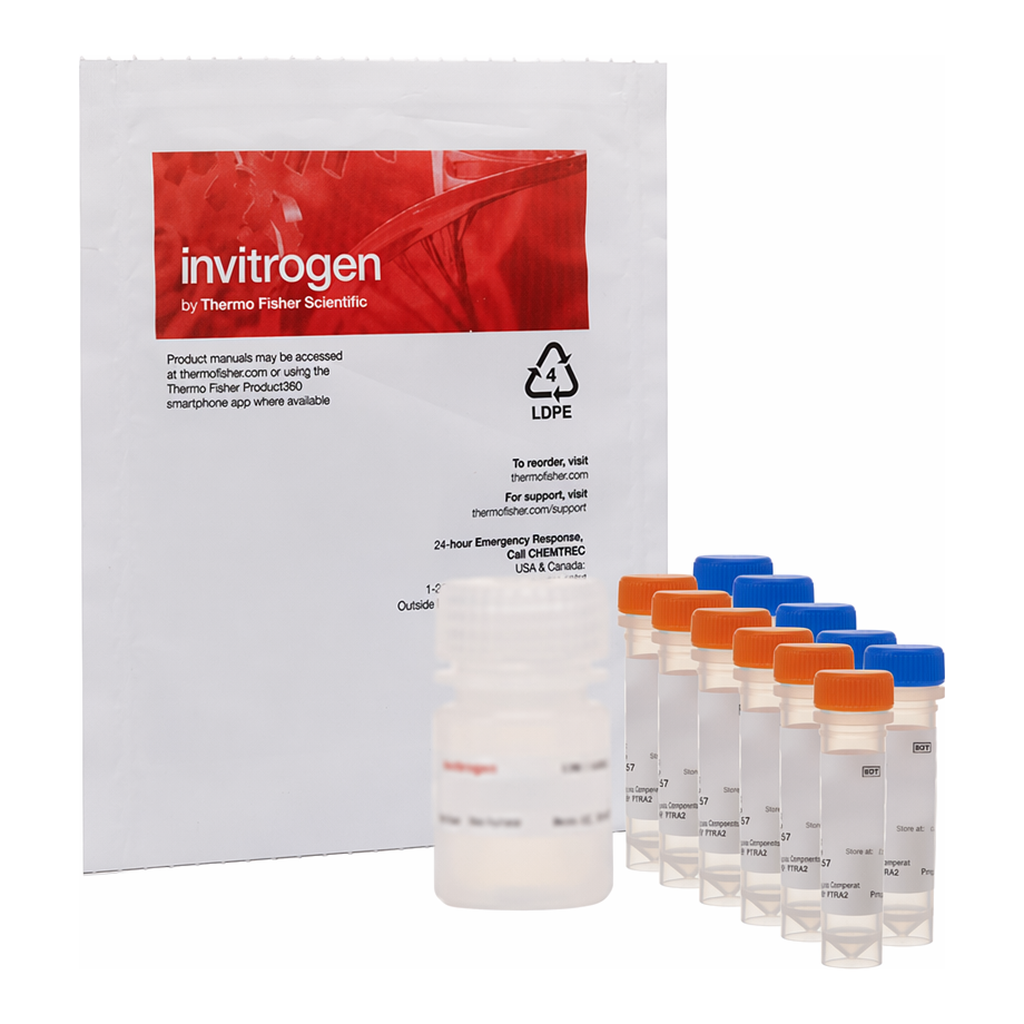 Thermo Fisher Scientific NeuroTrace BDA-10,000 Neuronal Tracer Kit