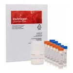 Thermo Fisher Scientific NeuroTrace BDA-10,000 Neuronal Tracer Kit