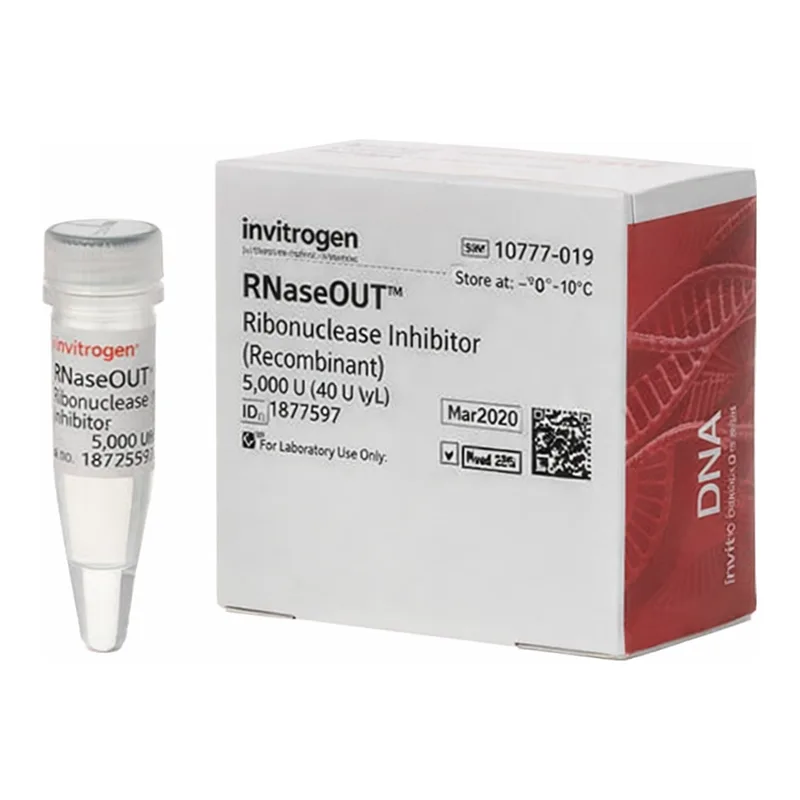 Thermo Fisher Scientific RNaseOUT Recombinant Ribonuclease Inhibitor