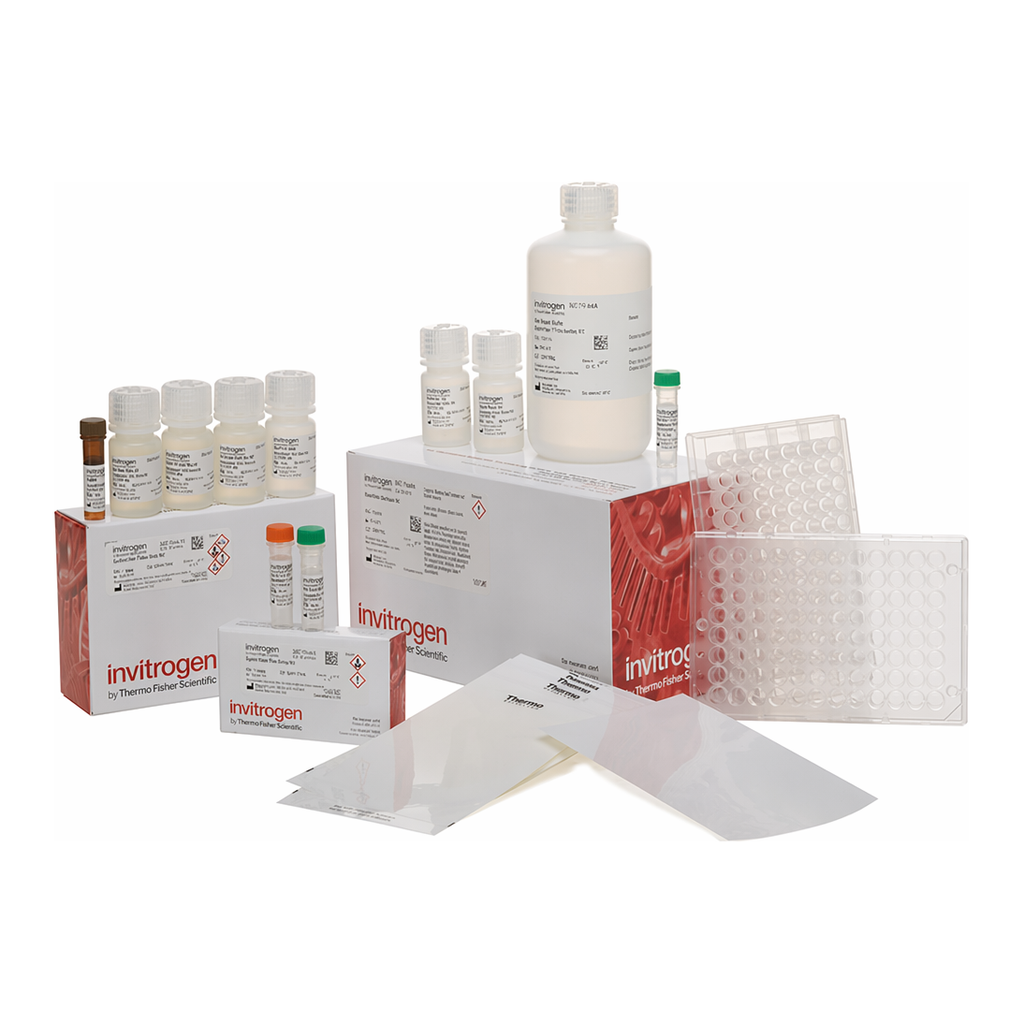 Thermo Fisher Scientific QuantiGene Plex Assay Kit, 1 plate