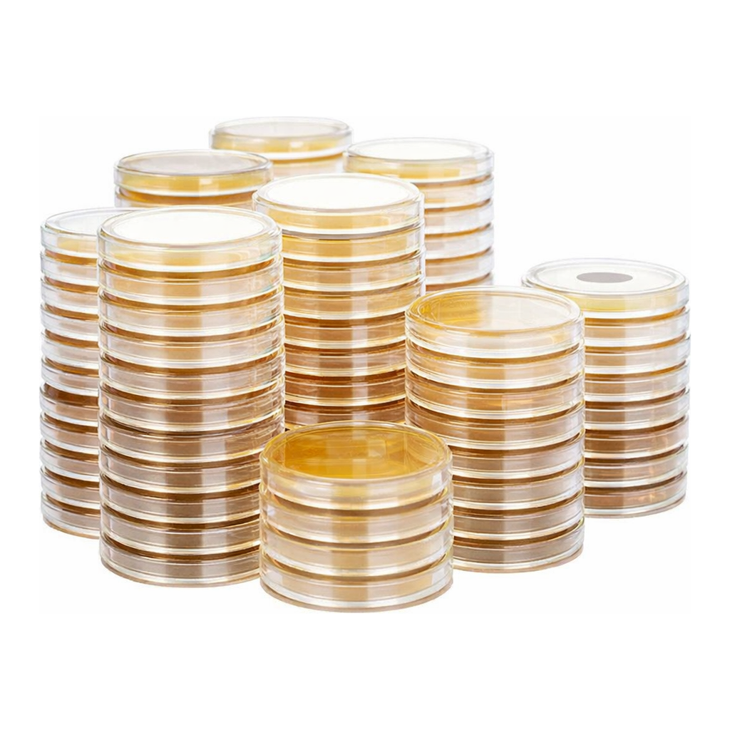 Kisanbio MBcell Malt Extract Agar / MB-M1173-P50