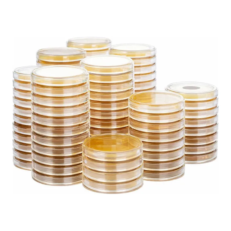 Kisanbio MBcell Malt Extract Agar / MB-M1173-P50