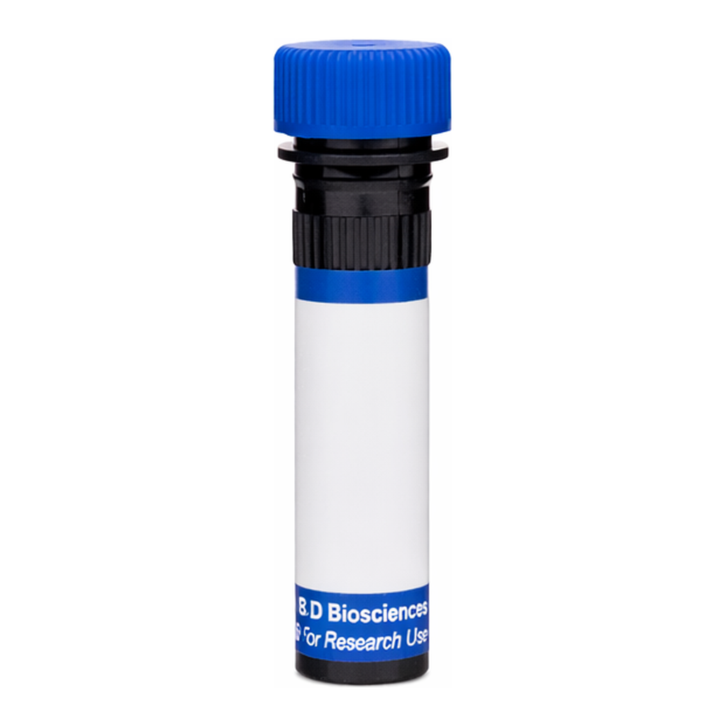 BD RB780 Rat IgG2a, κ Isotype Control