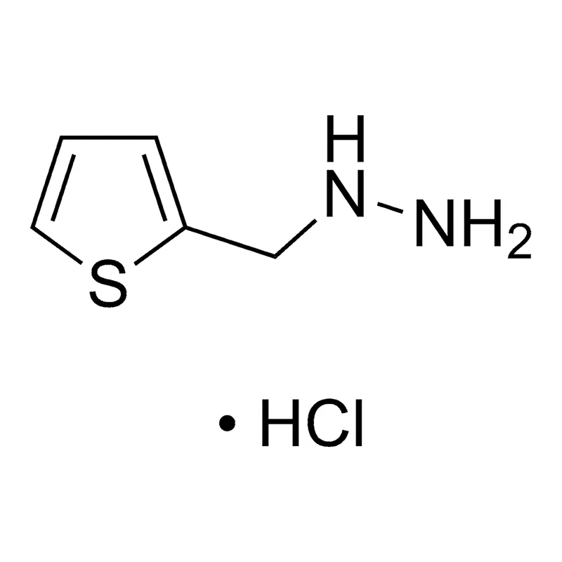 Merck (2-Thienylmethyl)hydrazine hydrochloride