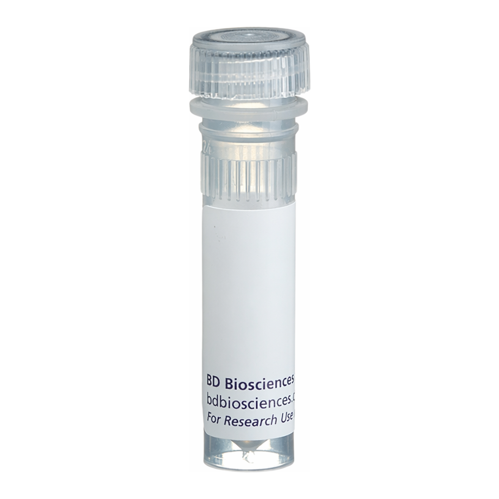 BD Biotin Mouse Anti-Rat RT1B