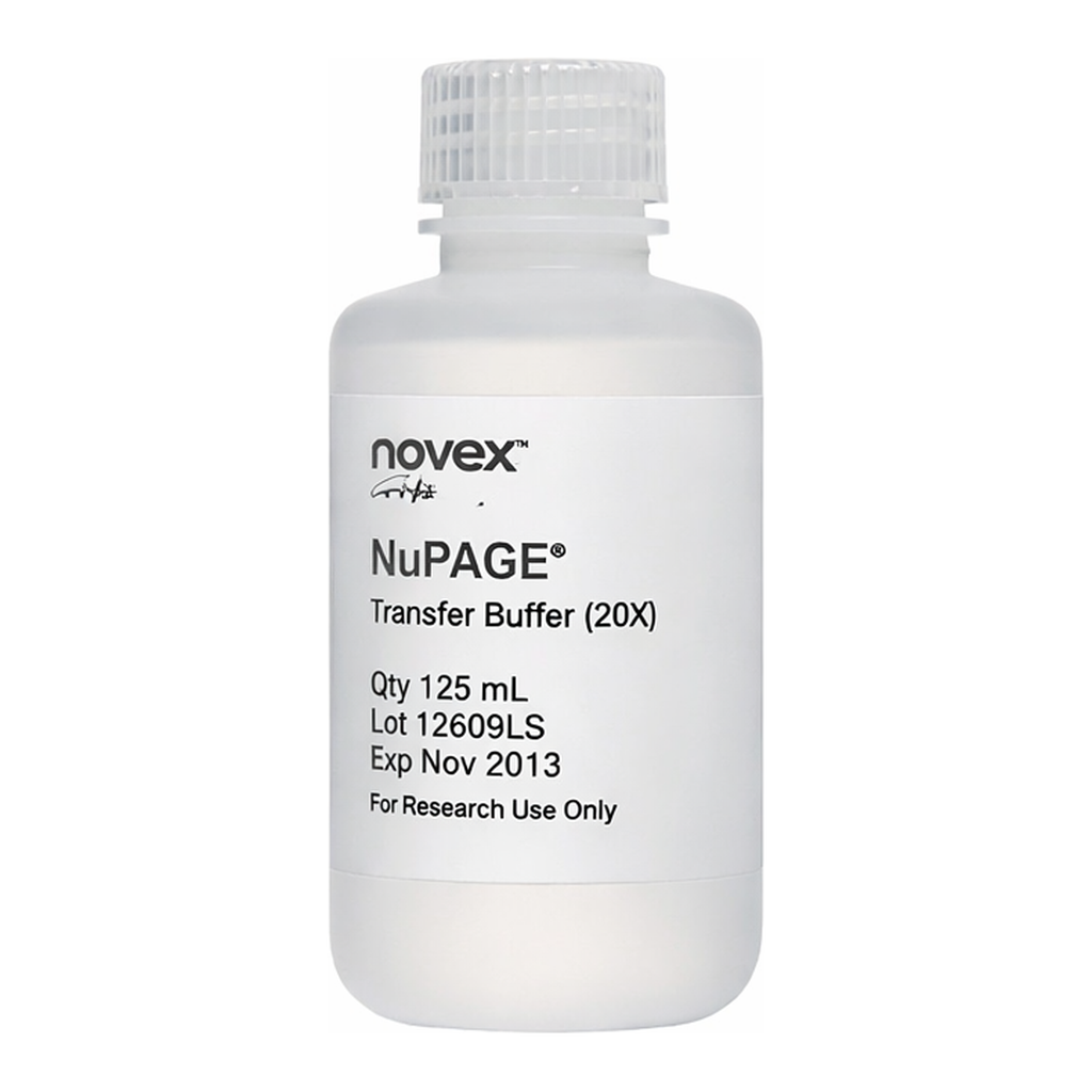 Thermo Fisher Scientific NuPAGE Transfer Buffer (20X), 125mL