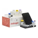 Thermo Fisher Scientific ProcartaPlex Human Cell Proliferation and Metastasis Panel 2, 12plex