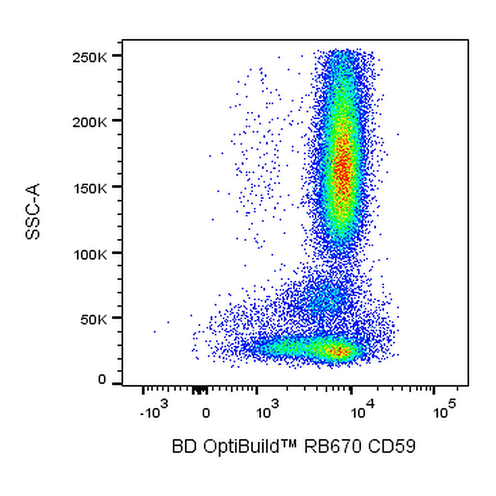 BD RB670 Mouse Anti-Human CD59