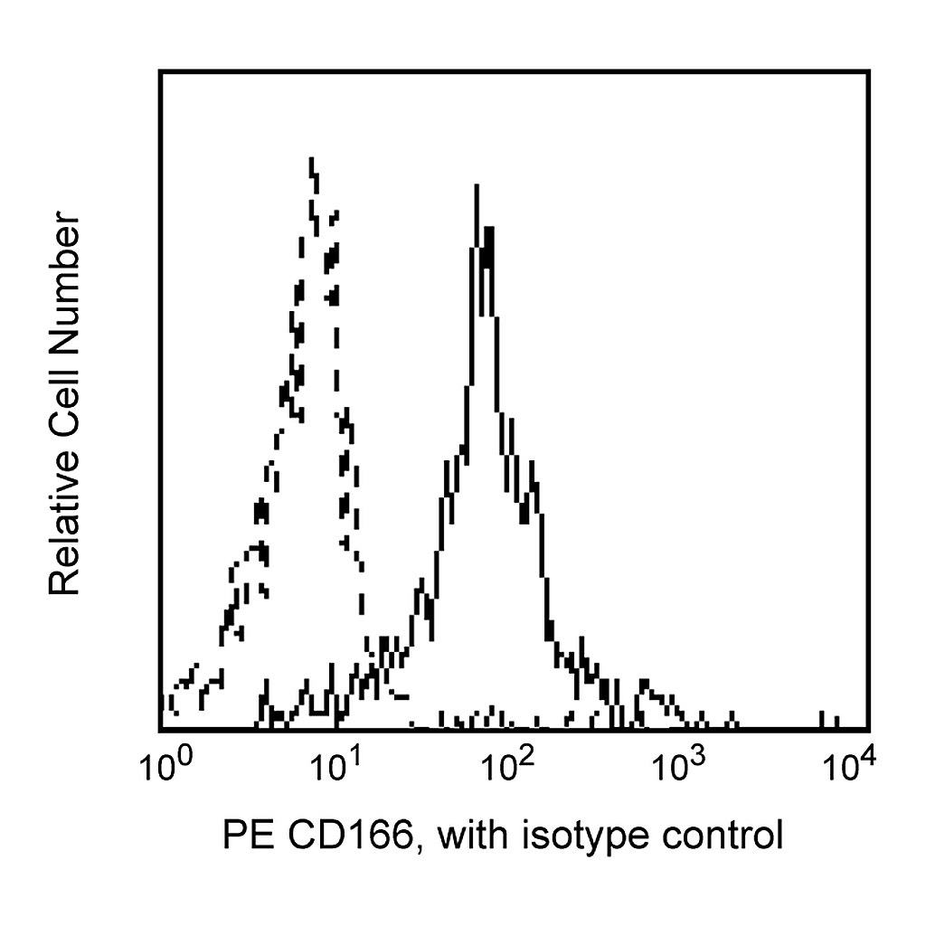 BD PE Mouse Anti-Human CD166