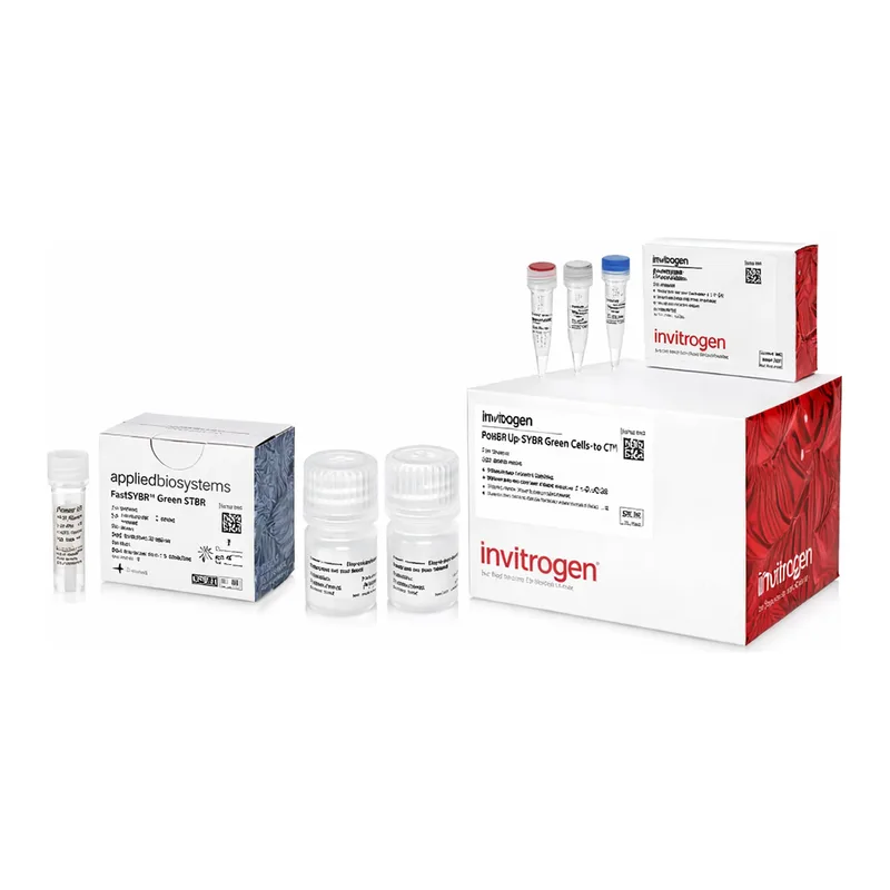 Thermo Fisher Scientific Power SYBR Green Cells-to-CT Kit, 40 reactions
