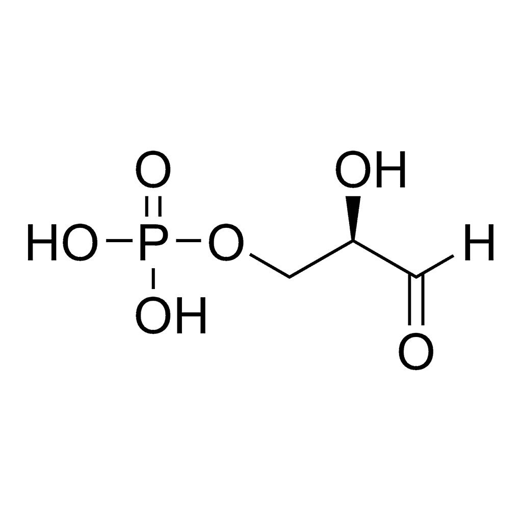 Merck D-Glyceraldehyde 3-phosphate solution