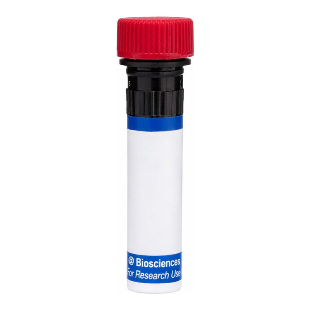 BD RB670 Mouse Anti-Human LTB4R (Leukotriene B4 Receptor 1)