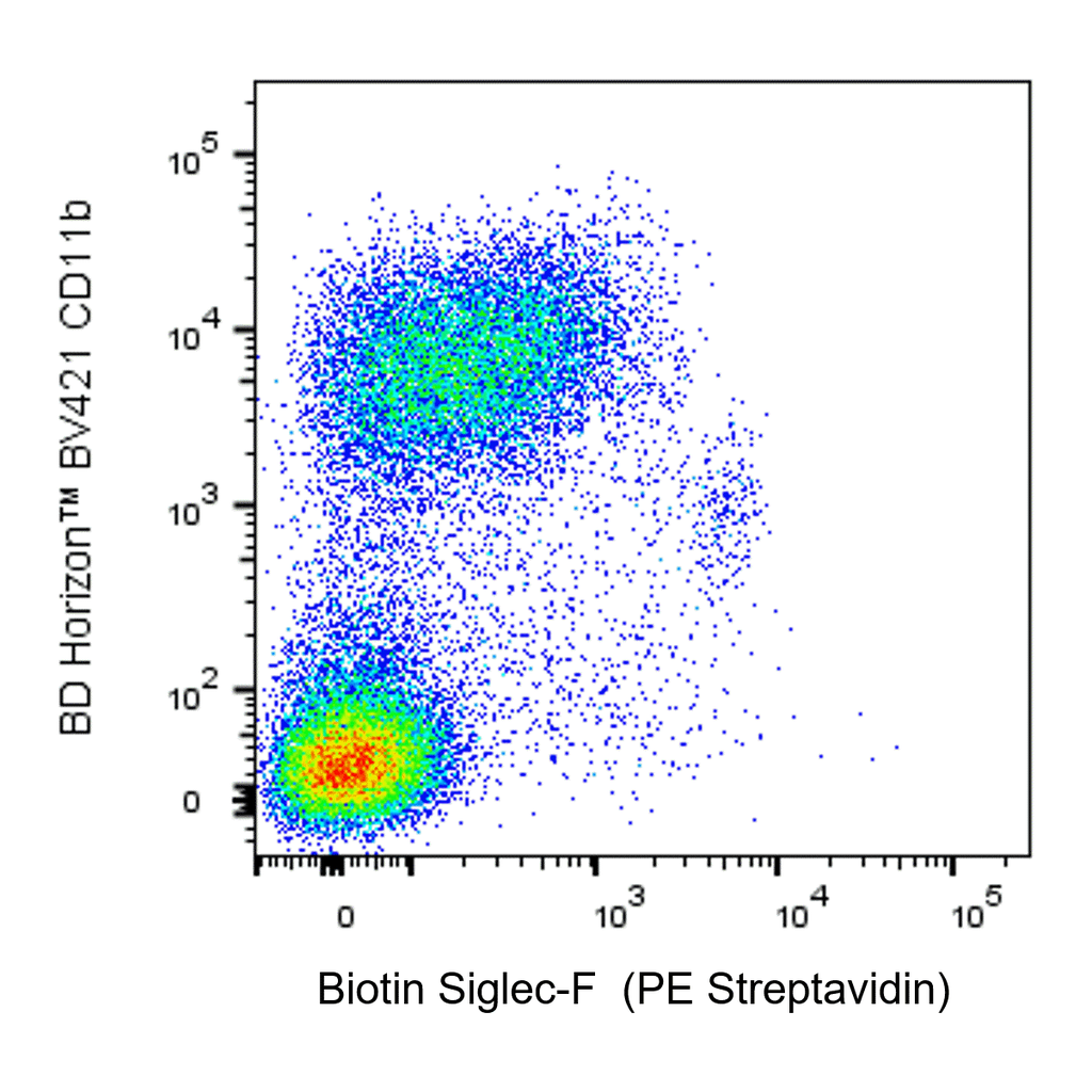 BD Biotin Rat Anti-Mouse Siglec-F