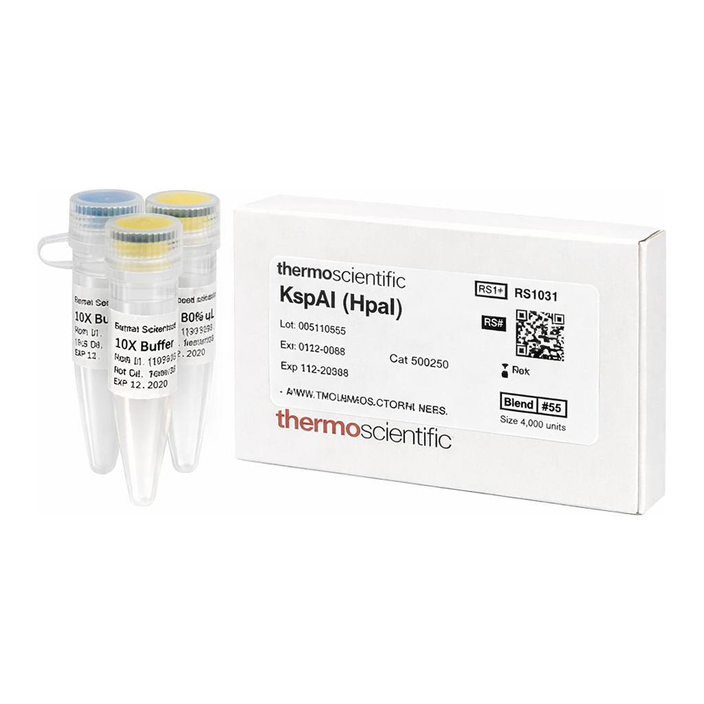 Thermo Fisher Scientific KspAI (HpaI) (10 U/&mu;L), 500 units