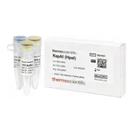 Thermo Fisher Scientific KspAI (HpaI) (10 U/μL), 500 units
