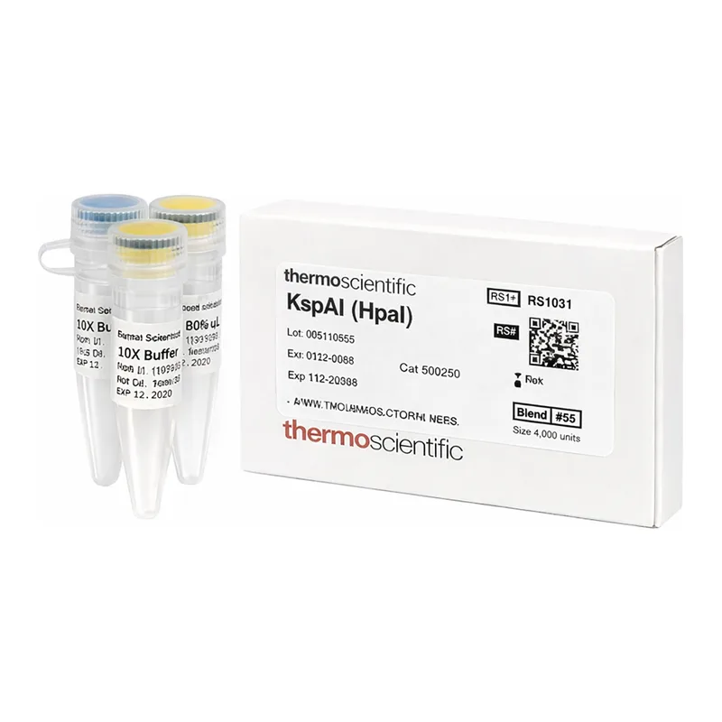 Thermo Fisher Scientific KspAI (HpaI) (10 U/μL), 500 units