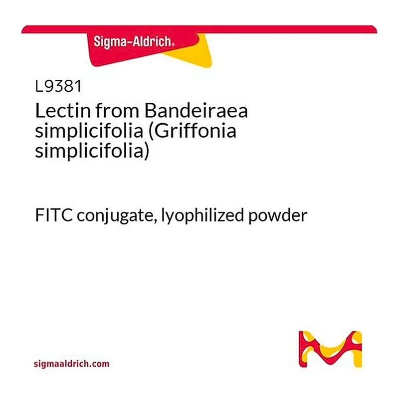 Merck Lectin from Bandeiraea simplicifolia (Griffonia simplicifolia)